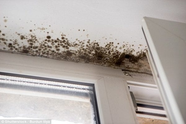 open window black mould in the bathroom